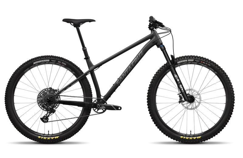 Load image into Gallery viewer, Santa Cruz Chameleon R