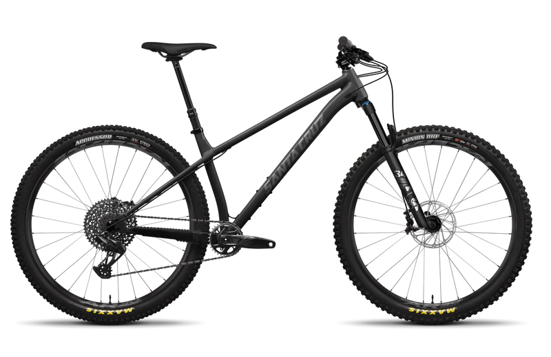 Load image into Gallery viewer, Santa Cruz Chameleon S