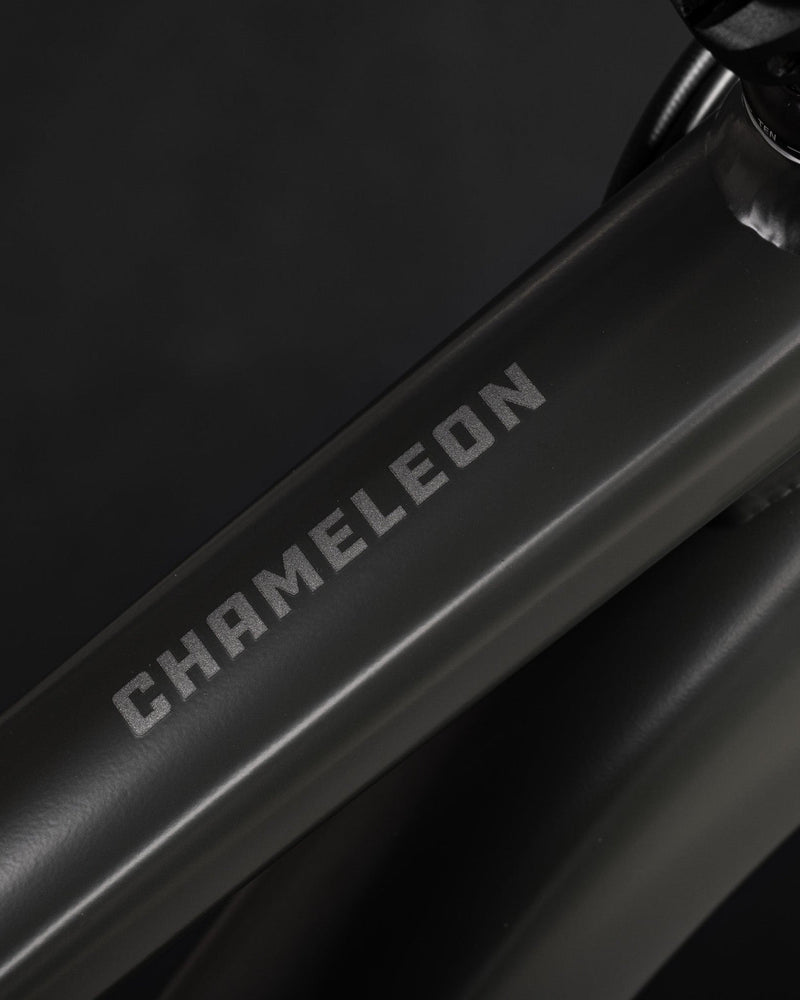 Load image into Gallery viewer, Santa Cruz Chameleon R