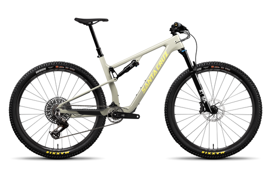 Santa Cruz Blur 90 Trail