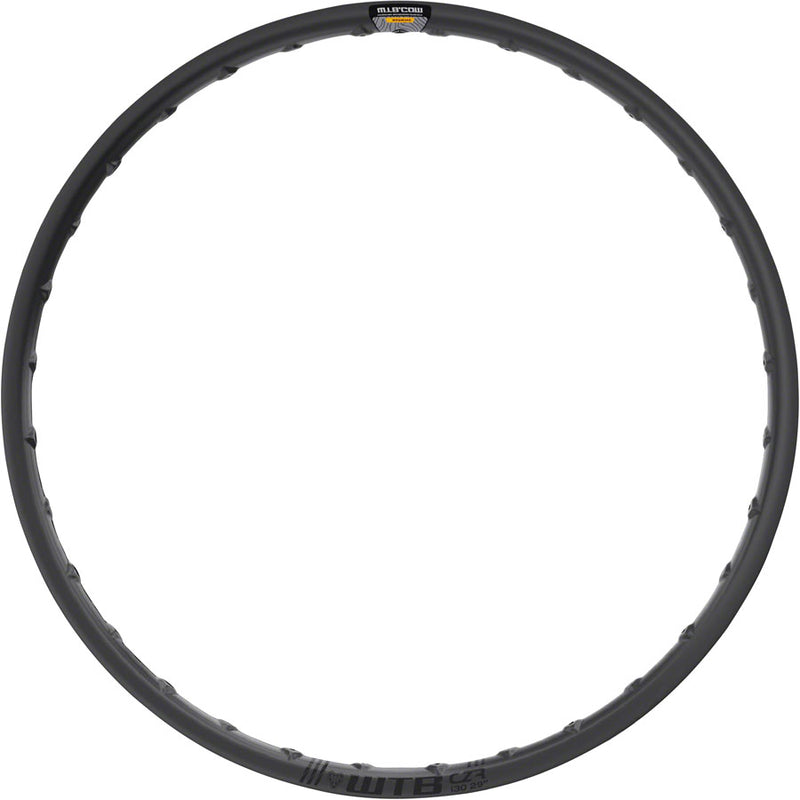 Load image into Gallery viewer, WTB CZR i30 Rim - 29" TCS Tubeless Disc Black 28H