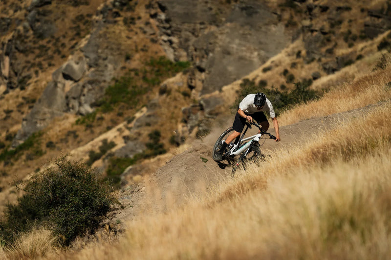Load image into Gallery viewer, Santa Cruz Tallboy R 2024