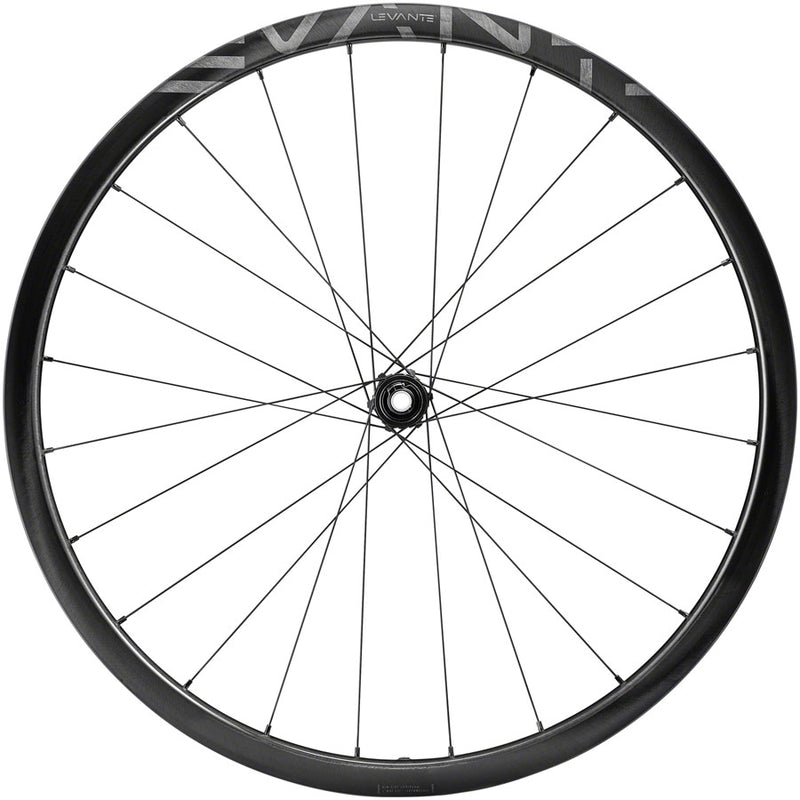 Load image into Gallery viewer, Campagnolo Levante Rear Wheel - 700 12 x 142mm CenterLock N3W Black