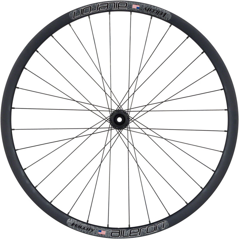 Load image into Gallery viewer, Quality Wheels Bear Pawls / Velocity Aileron Front Wheel - 700c 12 x 100mm Center-Lock BLK 32H
