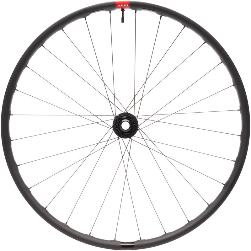 Load image into Gallery viewer, Quality Wheels DT 240 / Reserve 30 HD Carbon Front Wheel - 29" 20 x 110mm DH 6-Bolt Carbon 28H