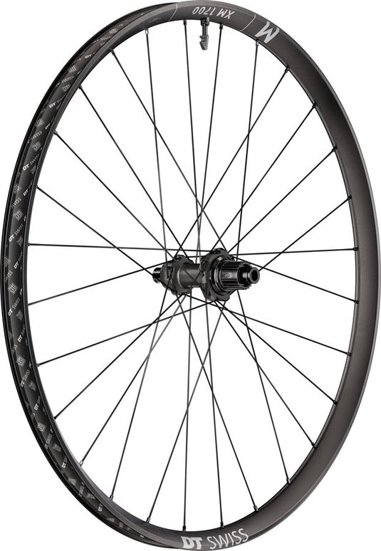 DT Swiss XM 1700 Spline 30 Rear Wheel - 29" 12 x 148mm Center-Lock Micro Spline 12M DEG 72 DF BLK