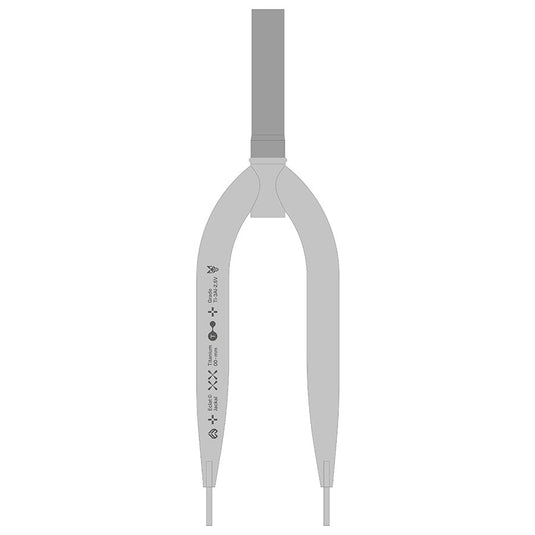 Eclat Jackal Zero Rigid Fork 20'' 1-1/8'' Rake: 0mm Clear