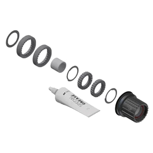 Dt swiss Shimano Microspline Ratchet Conversion Kit SHI 12s Micro 18t Steel Blk