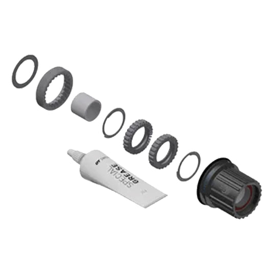 Dt swiss Shimano Microspline Ratchet Conversion Kit SHI 12s Micro 36t Steel Blk