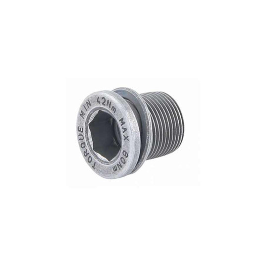 Campagnolo Ultra Torque Crank bolt For steel UT spindles