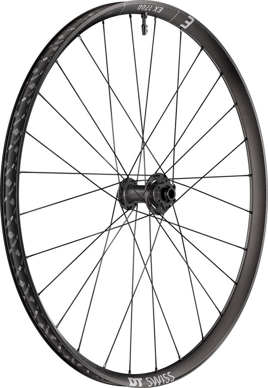 DT Swiss EX 1700 Classic 30 Front Wheel - 29" 15 x 110mm 6-Bolt Black