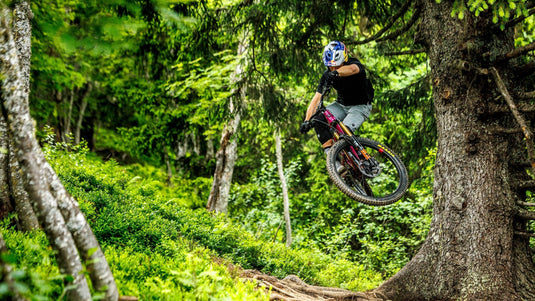 Santa Cruz Bronson R