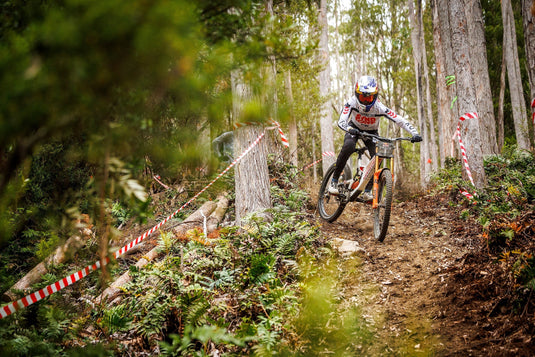 Santa Cruz V10 DH X01