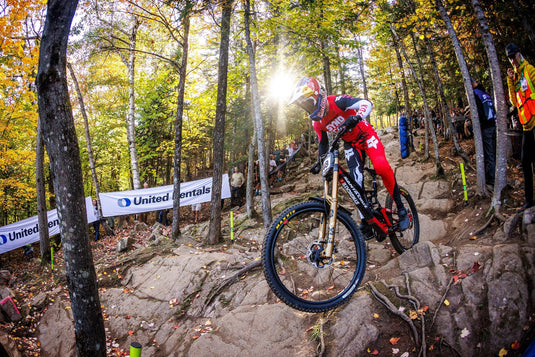 Santa Cruz V10 DH X01