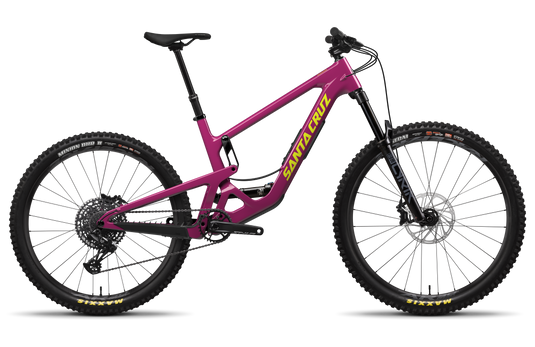 Santa Cruz Bronson R