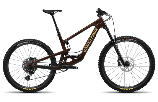 Santa Cruz Bronson R
