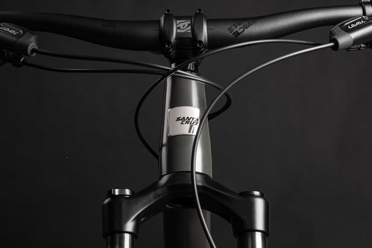 Santa Cruz Chameleon S