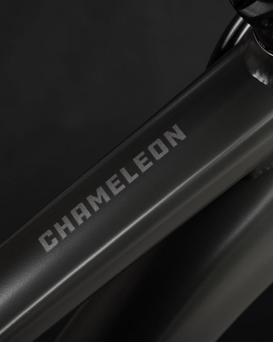 Santa Cruz Chameleon D