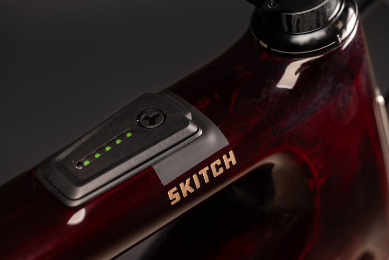 Load image into Gallery viewer, Santa Cruz Skitch Apex 2024
