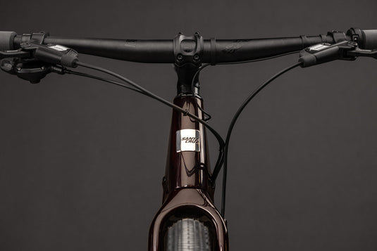 Santa Cruz Skitch Apex Flat Bar 2024