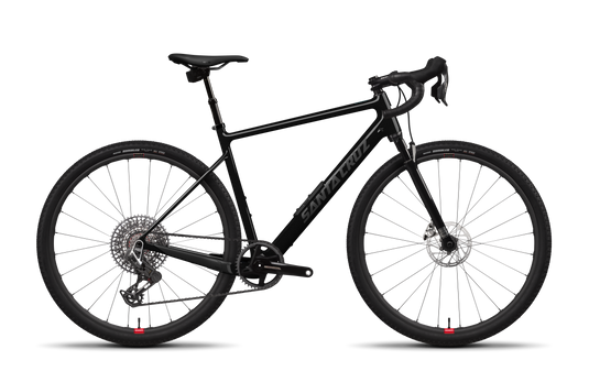 Santa Cruz Stigmata RF 1x Rudy RSV