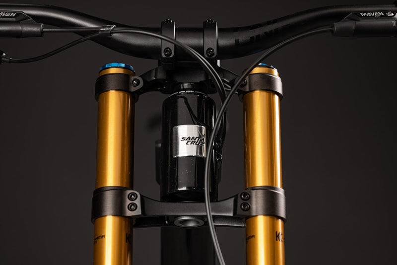Load image into Gallery viewer, Santa Cruz V10 DH X01 E-Bike
