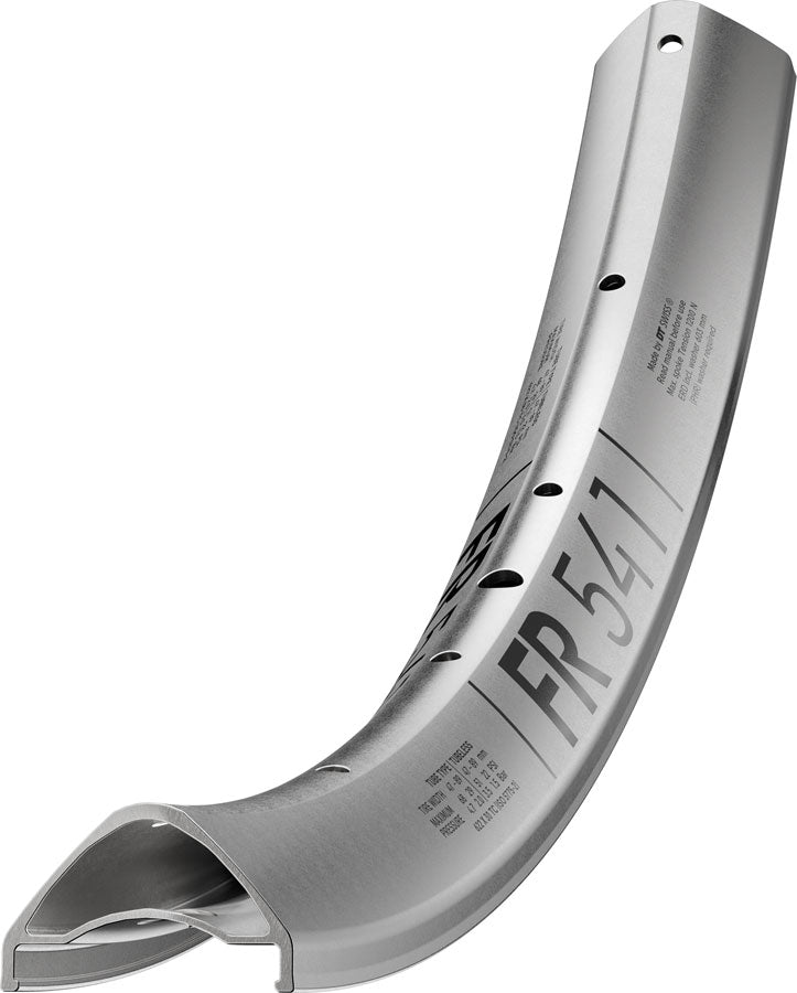 Load image into Gallery viewer, DT Swiss FR 541 Rim - 29" Disc Silver 32H
