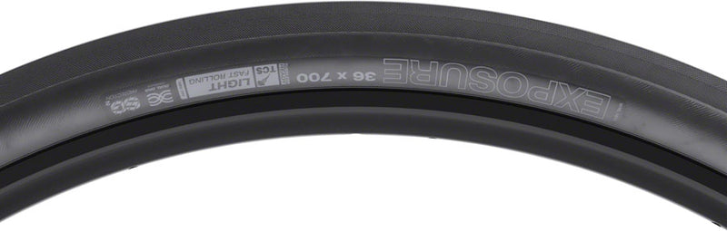 Load image into Gallery viewer, WTB Exposure Tire - 700 x 38 TCS Tubeless Folding BLK Light/Fast Rolling Dual DNA SG
