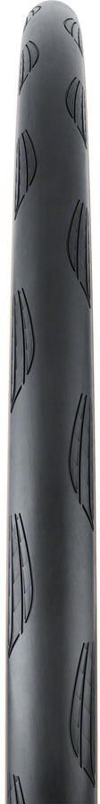 Load image into Gallery viewer, Continental Grand Prix TR Tire - 700 x 25 Tubeless Folding BLK/Transparent BLKChili
