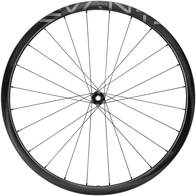 Load image into Gallery viewer, Campagnolo Levante Front Wheel - 700 12 x 100mm CenterLock Black
