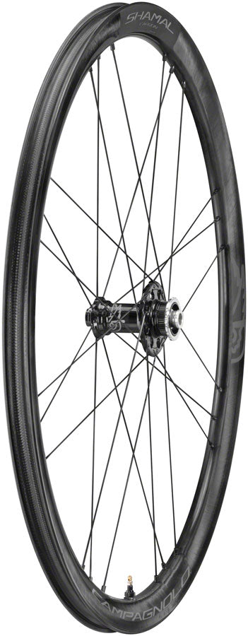Load image into Gallery viewer, Campagnolo SHAMAL Carbon Disc Front Wheel - 700 12 x 100mm Centerlock Black
