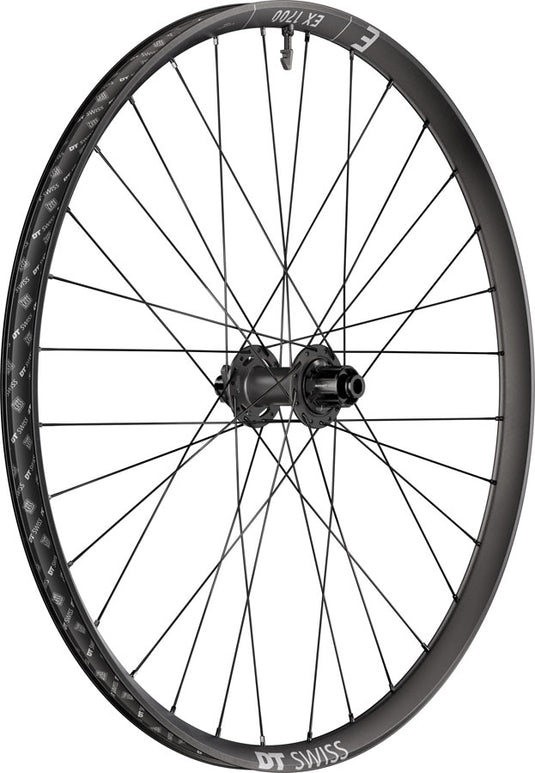 DT Swiss EX 1700 Classic 30 Rear Wheel - 29" 12 x 148mm 6-Bolt HG Slim DEG 72 DF BLK